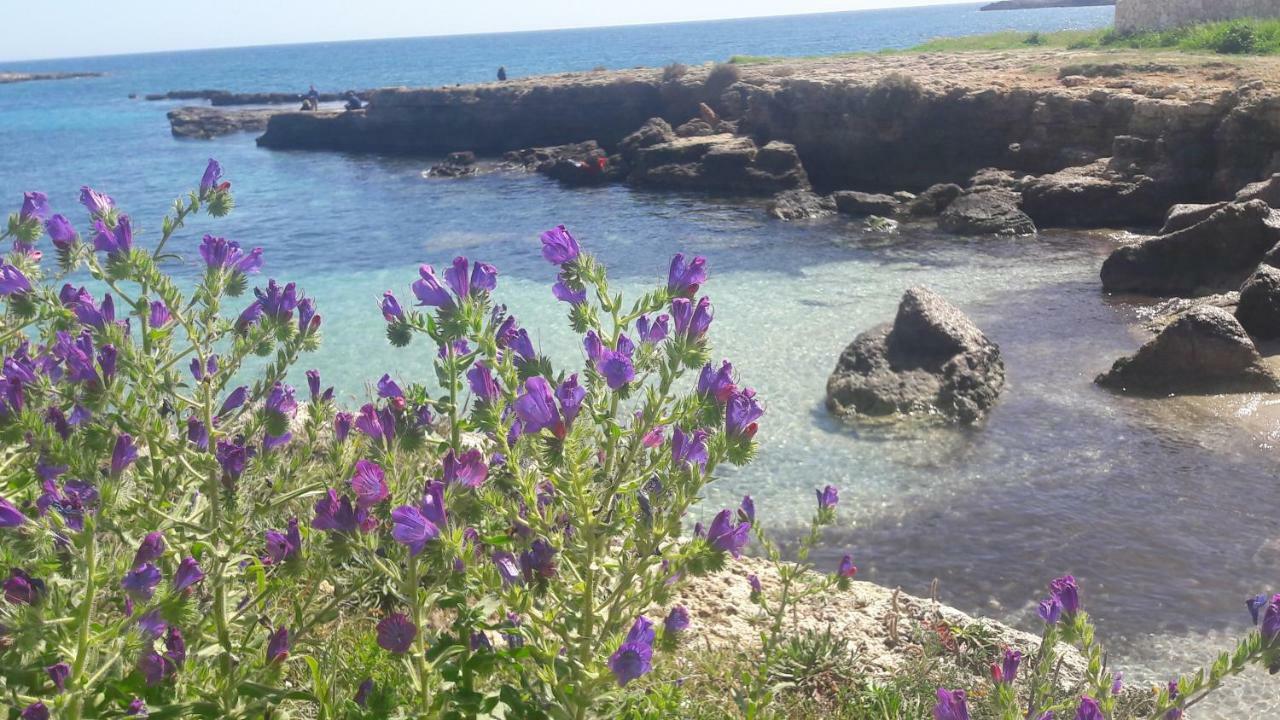 أفولا "Suliscenti" Dimora Siciliana B&B المظهر الخارجي الصورة